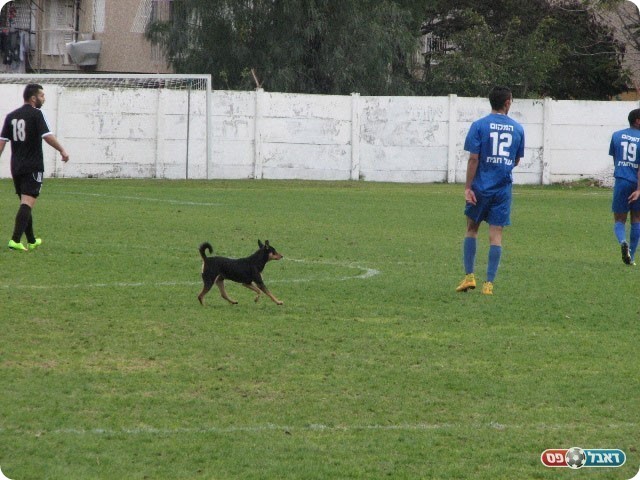 בא לשכונה בחור החדש (שמעון תורג׳מן)